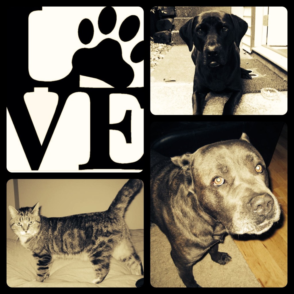 For the Love of&nbsp;Dog