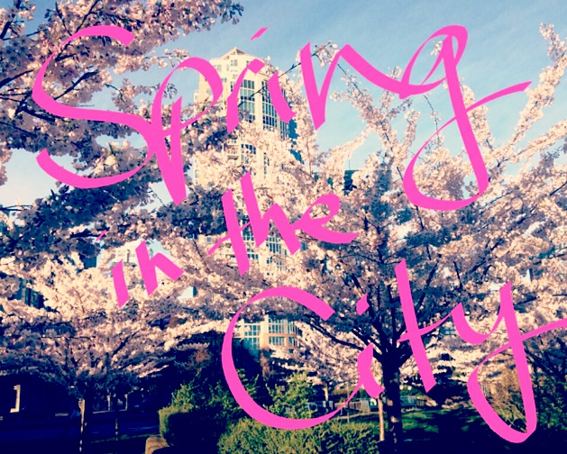 Spring in the&nbsp;City