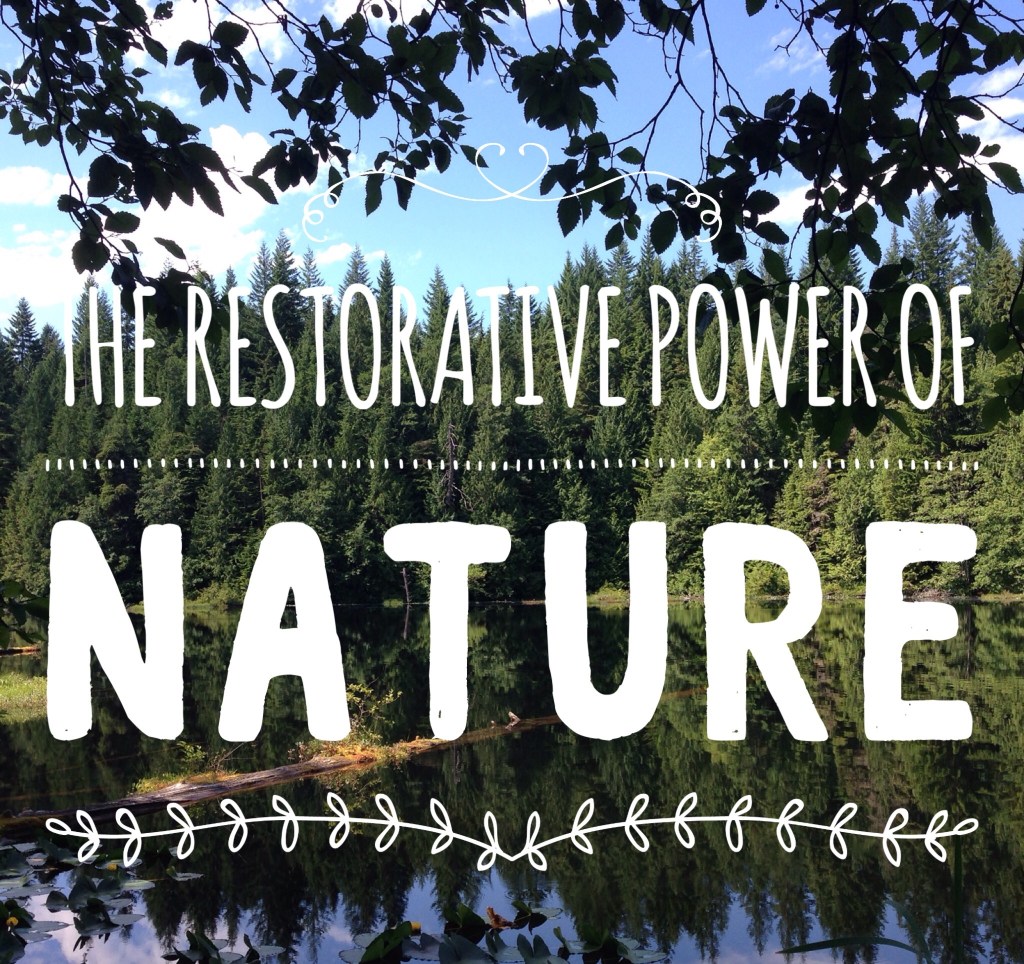 The Restorative Power of&nbsp;Nature